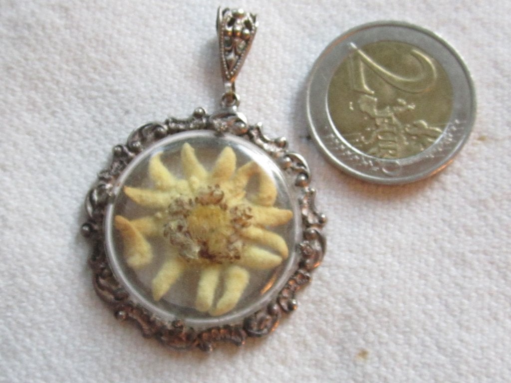 65.  Aparte oude hanger + edelweiss, Ophalen, Overige materialen, Hanger