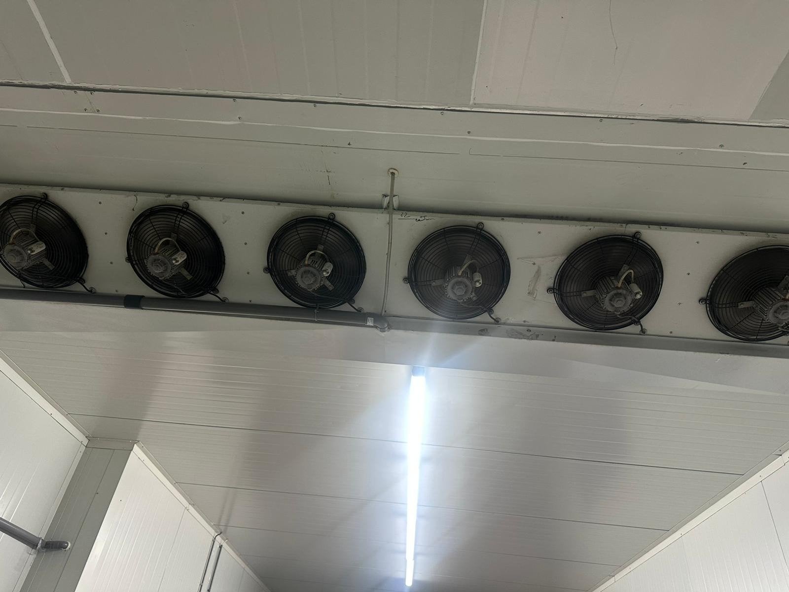Koelcellen een vriescellen op maat bouwen, Ophalen of Verzenden