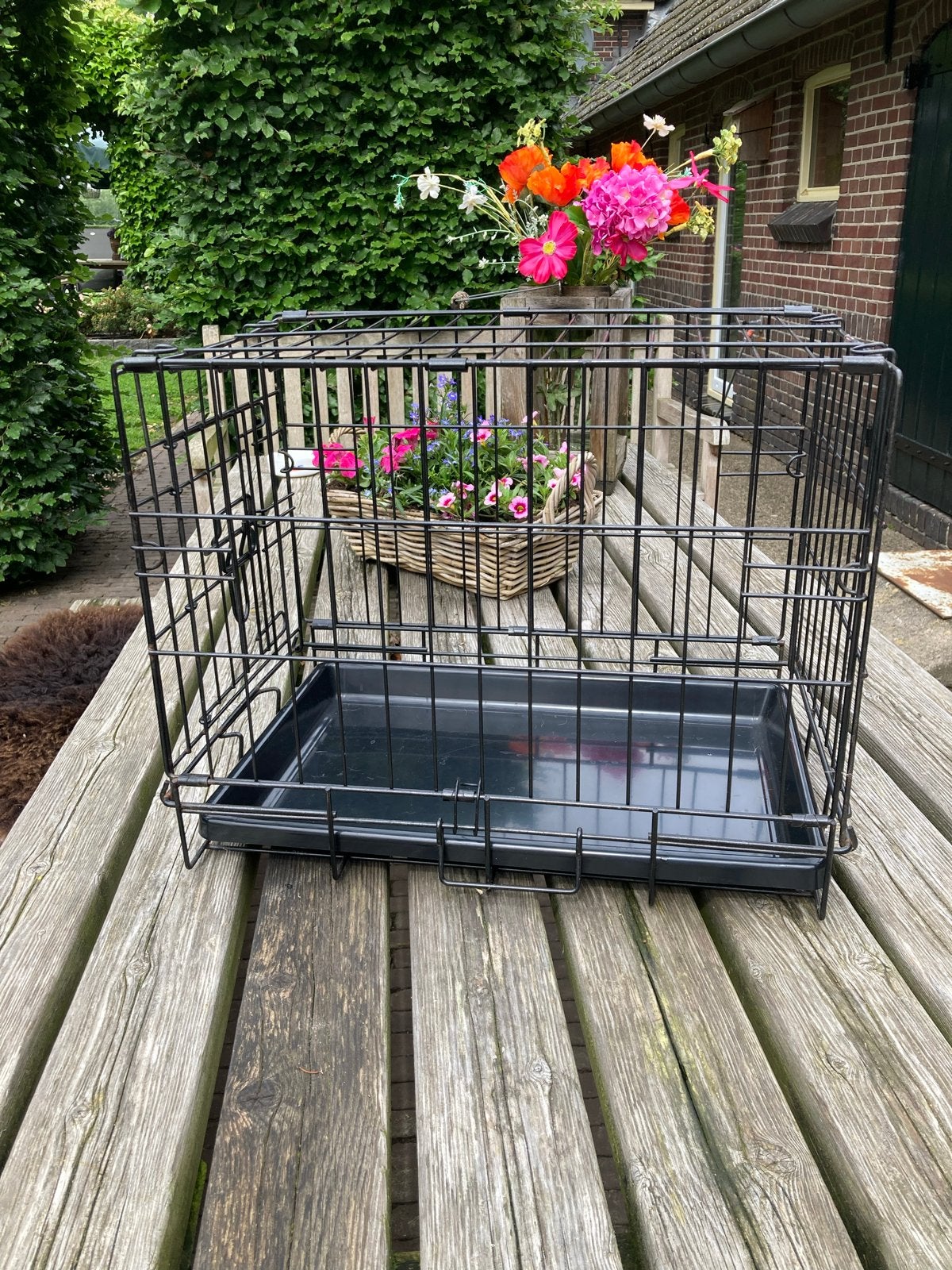 Zwarte hondenbench voor kleine hond, Ophalen, Gebruikt