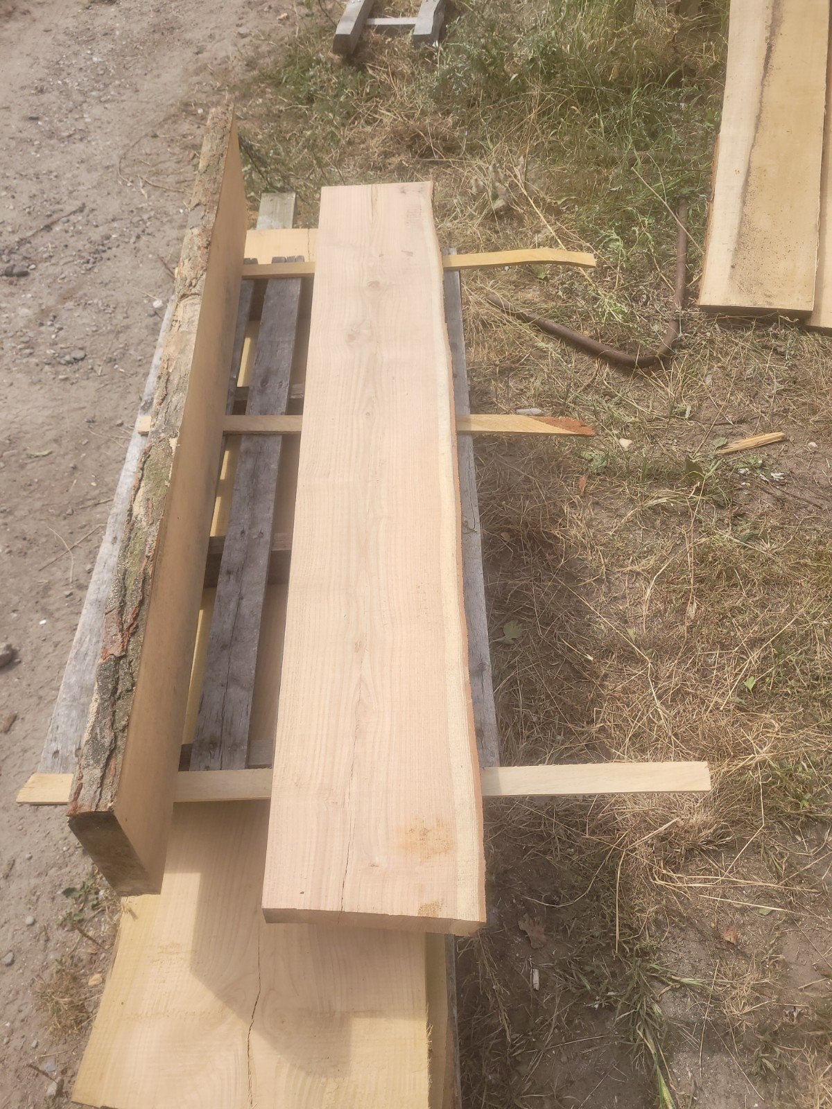 schaaldeel vensterbank wandplank VALSE CHRISTUSDOORN, Ophalen of Verzenden, Nieuw, Minder dan 180 cm, Planken