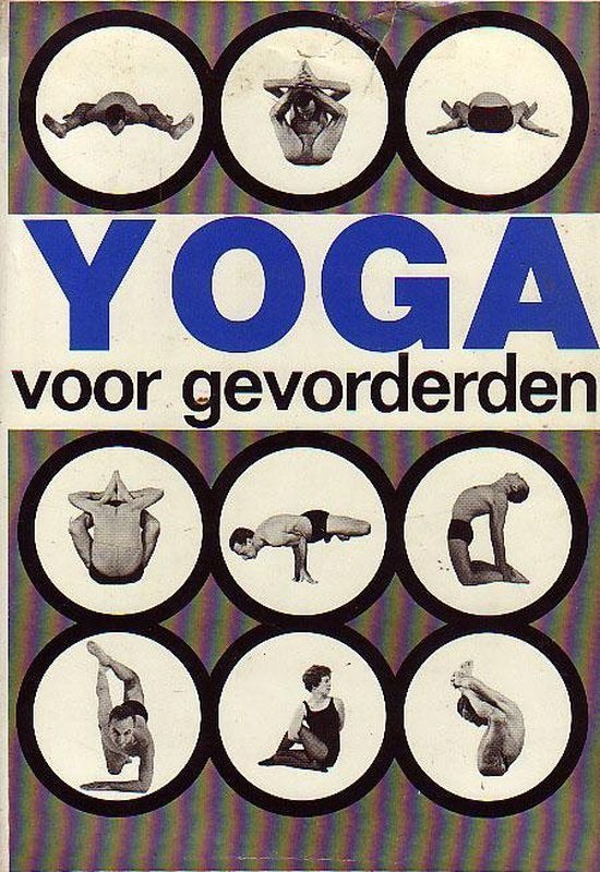 Andre van Lysebeth Yoga voor gevorderden, Boeken, Verzenden, Zo goed als nieuw, Meditatie of Yoga, Instructieboek