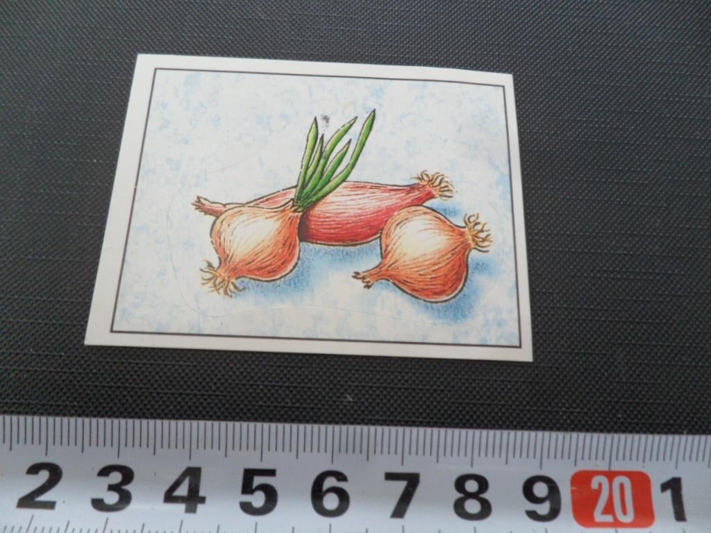 sticker panini WWF leven op aarde #151, Ophalen, Zo goed als nieuw