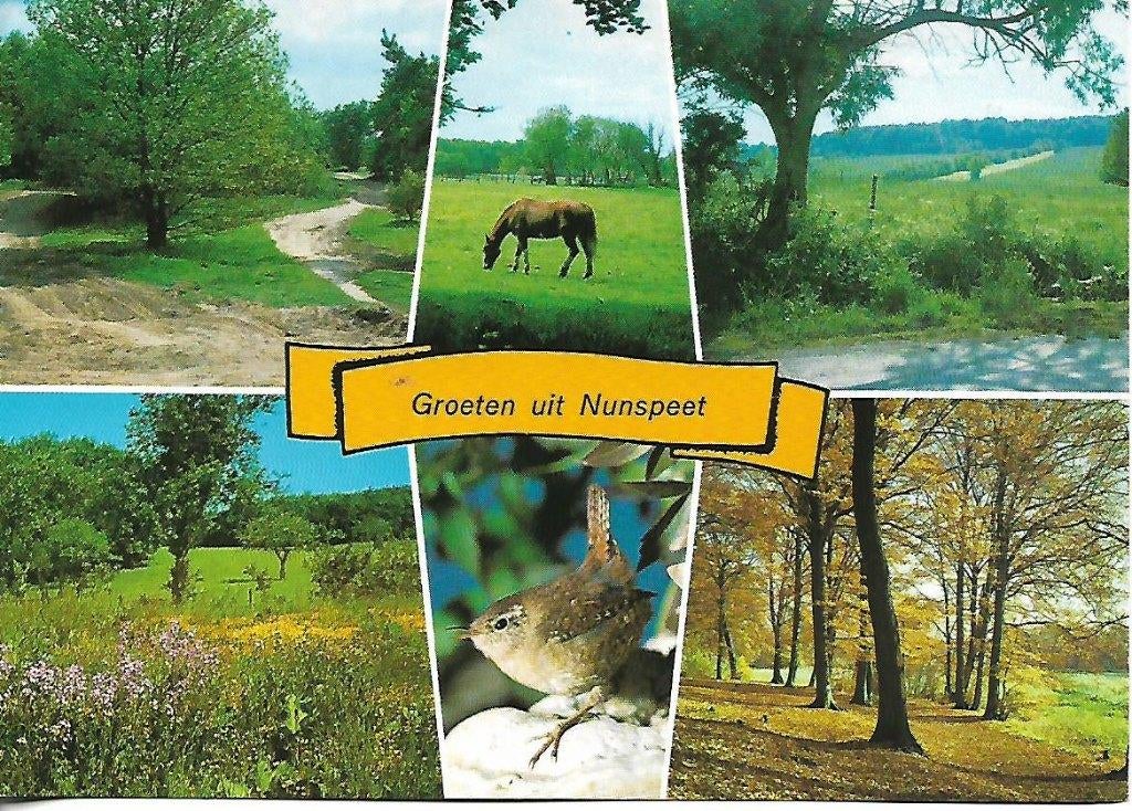 Nunspeet- -6-luik., Verzenden, 1980 tot heden, Gelopen, Gelderland