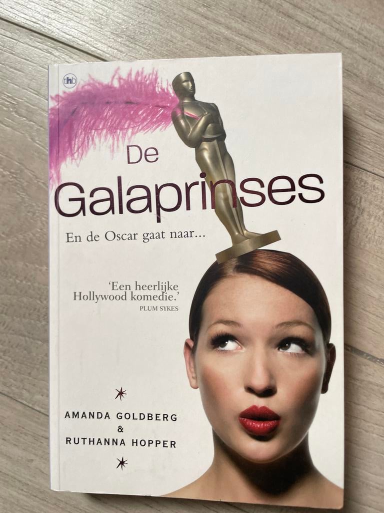 De Galaprinses - Een heerlijke Hollywood komedie, Ophalen of Verzenden, Gelezen, Wereld overig