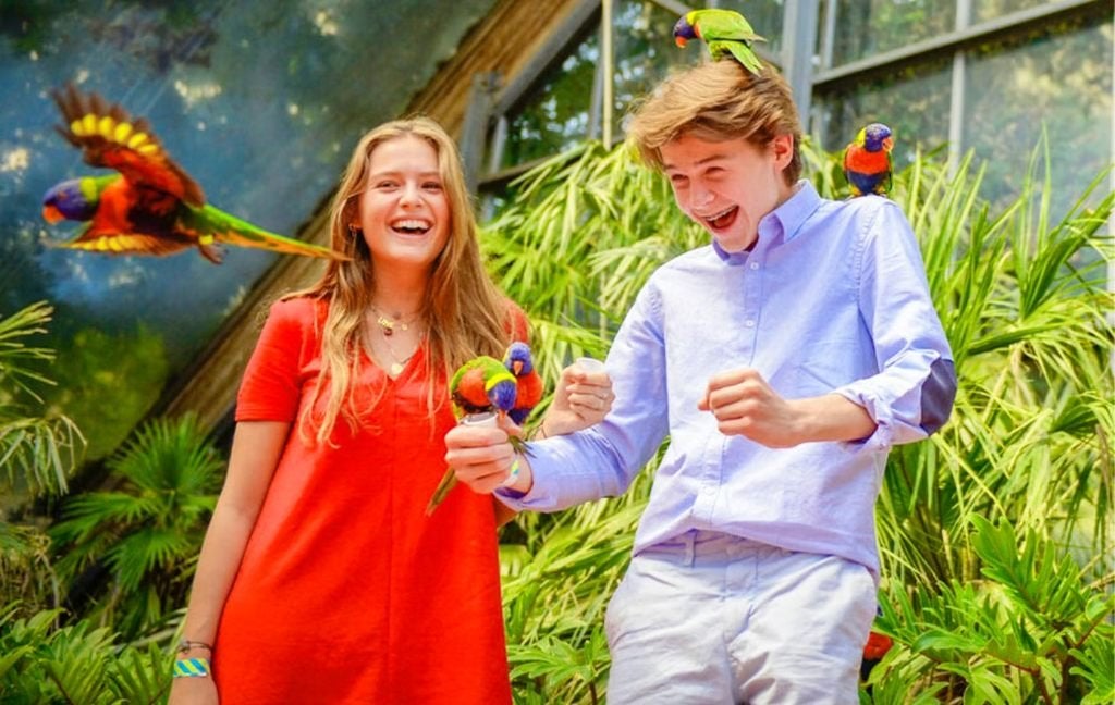 Tickets Vogelpark Avifauna 2026 + XXL Speeltuin - KORTING!, Twee personen, Ticket of Toegangskaart