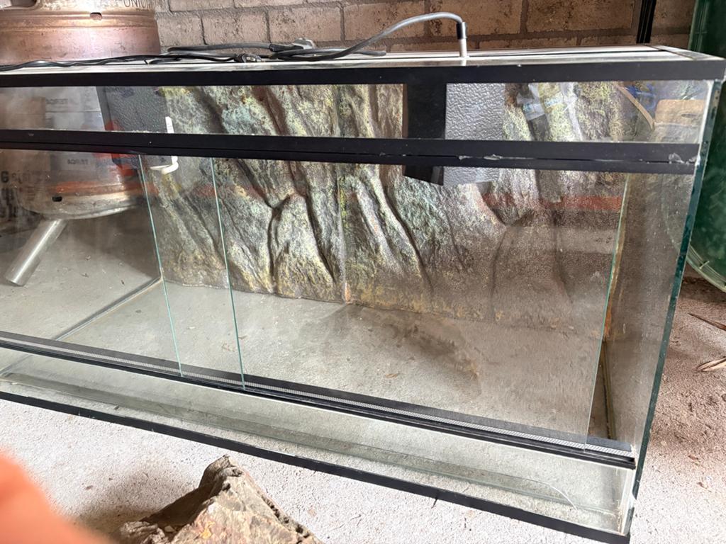 Terrarium 100,4 x 50,4 x 50,4, Dieren en Toebehoren, Reptielen en Amfibieën | Toebehoren, Ophalen, Gebruikt, Terrarium of Paludarium