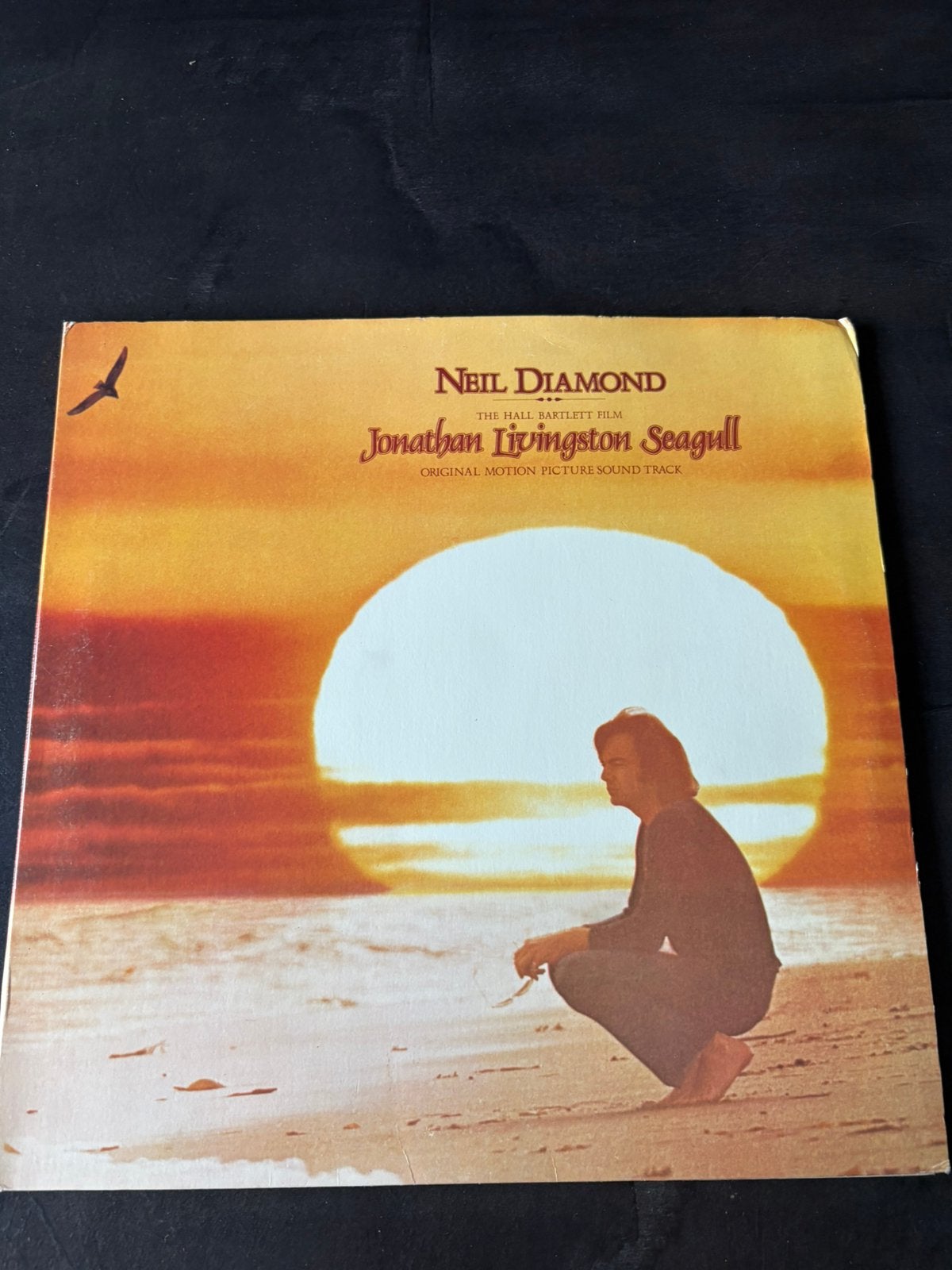 Neil Diamond - Jonathan Livingston Seagull, LP, Overige typen, Ophalen of Verzenden, Zo goed als nieuw