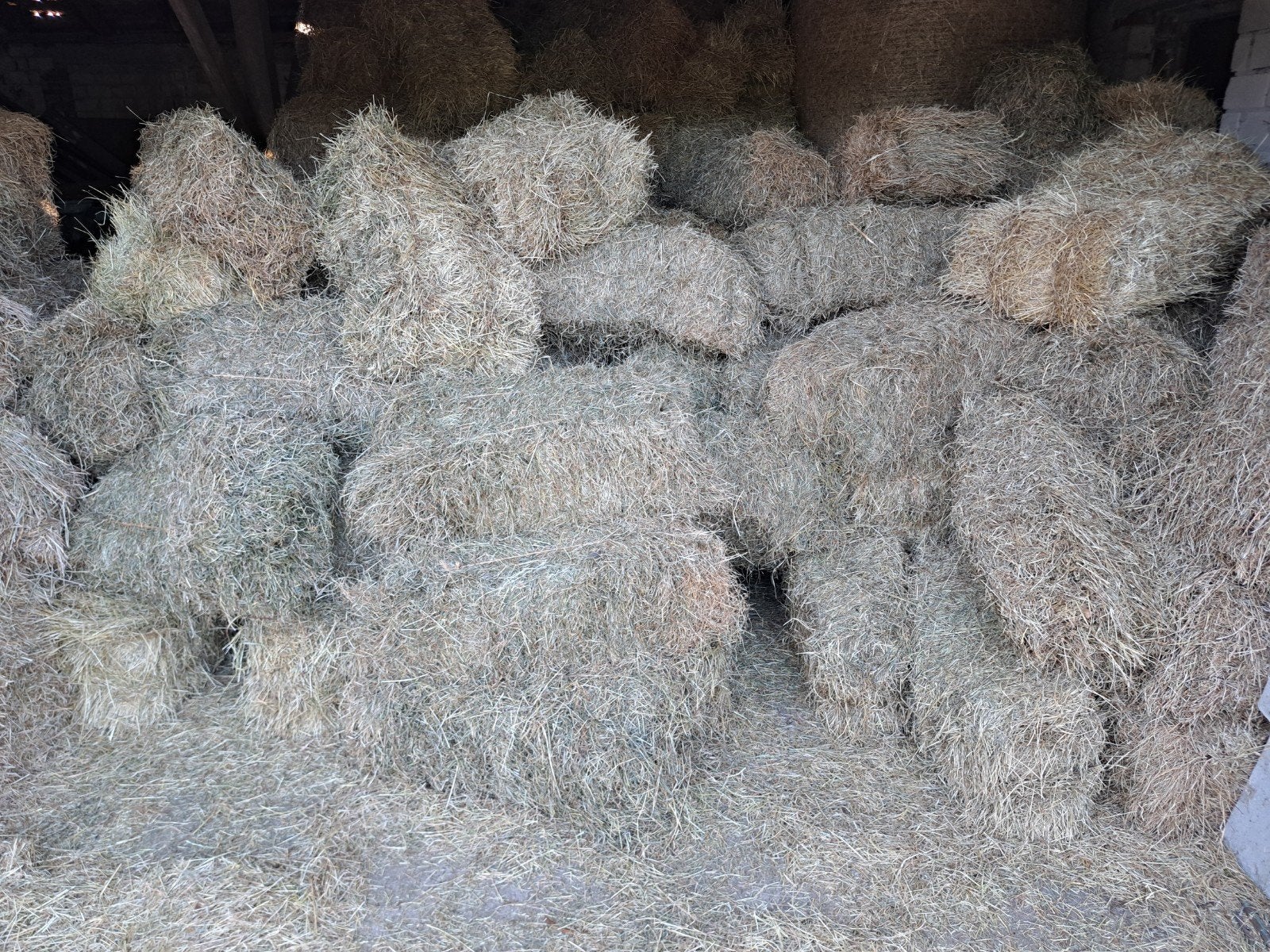 Kleine pakjes hooi van 25 en 26 ronde balen, Dieren en Toebehoren, Ophalen of Verzenden, Vee