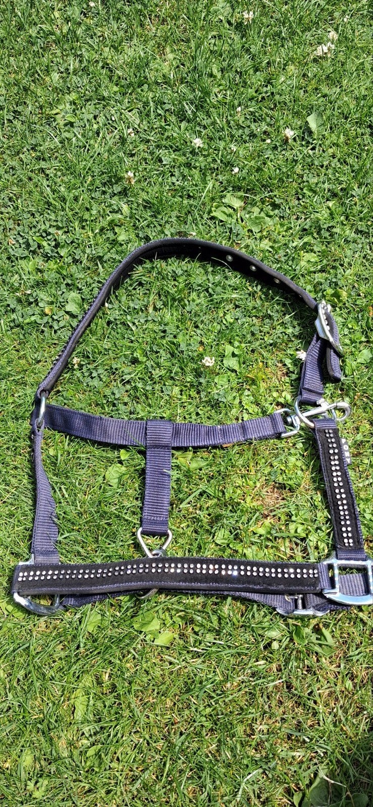 Donkerblauw halster met glitter maat pony, Dieren en Toebehoren, Paarden en Pony's | Hoofdstellen en Tuigage, Ophalen, Nieuw, Overige soorten