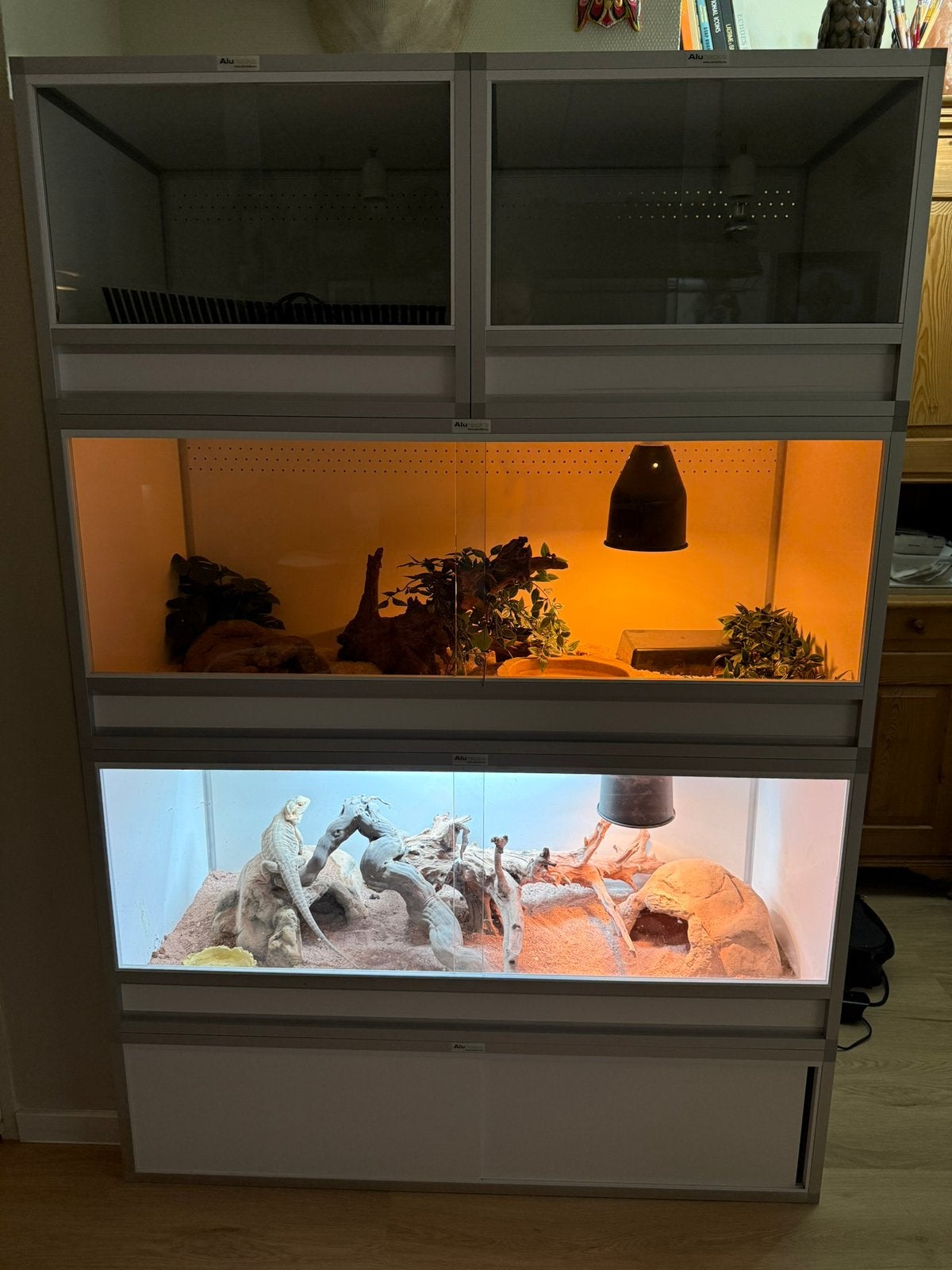 Aluracks terrarium stelling, Dieren en Toebehoren, Reptielen en Amfibieën | Toebehoren, Ophalen, Zo goed als nieuw