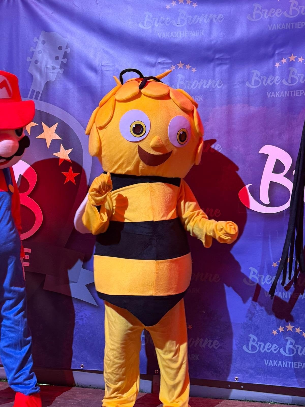 Huur of koop dit fantastische Maya de Bij mascotte pak!, Ophalen of Verzenden