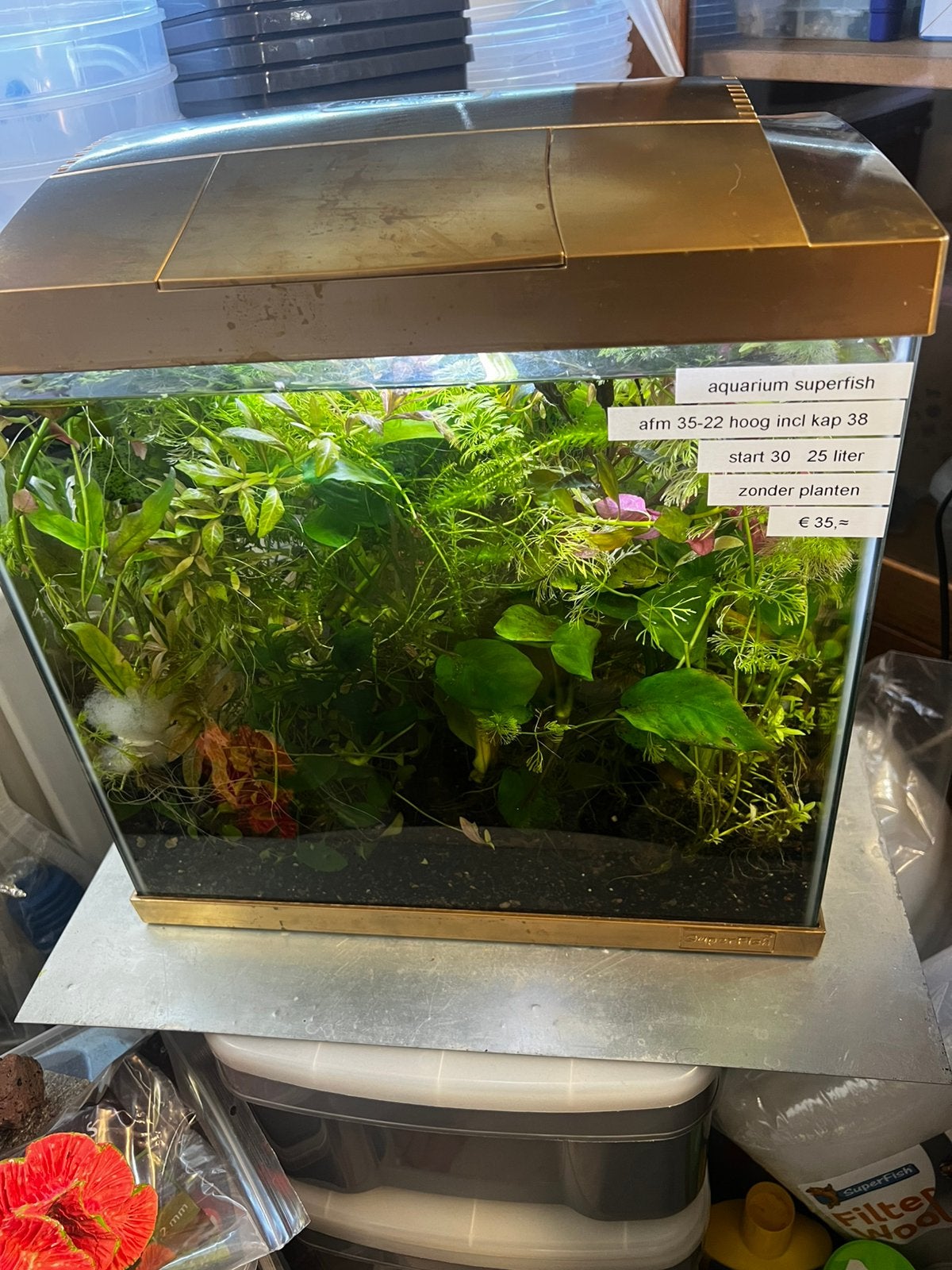 Aquarium superfish start 30 25 liter goud, Dieren en Toebehoren
