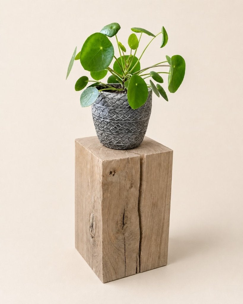 Houten blok - zuil eiken H32,5cm #ES04, Houtatelier M.Y., Info@myhoutatelier.nl, Nieuw, Ophalen of Verzenden