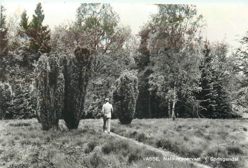 702-092-015 Vasse T Springendal, Verzenden, Voor 1920, Overijssel