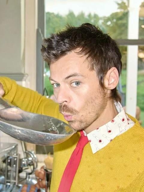 HARRY STYLE! 1 ticket – perfect zicht, Eén persoon, Mei