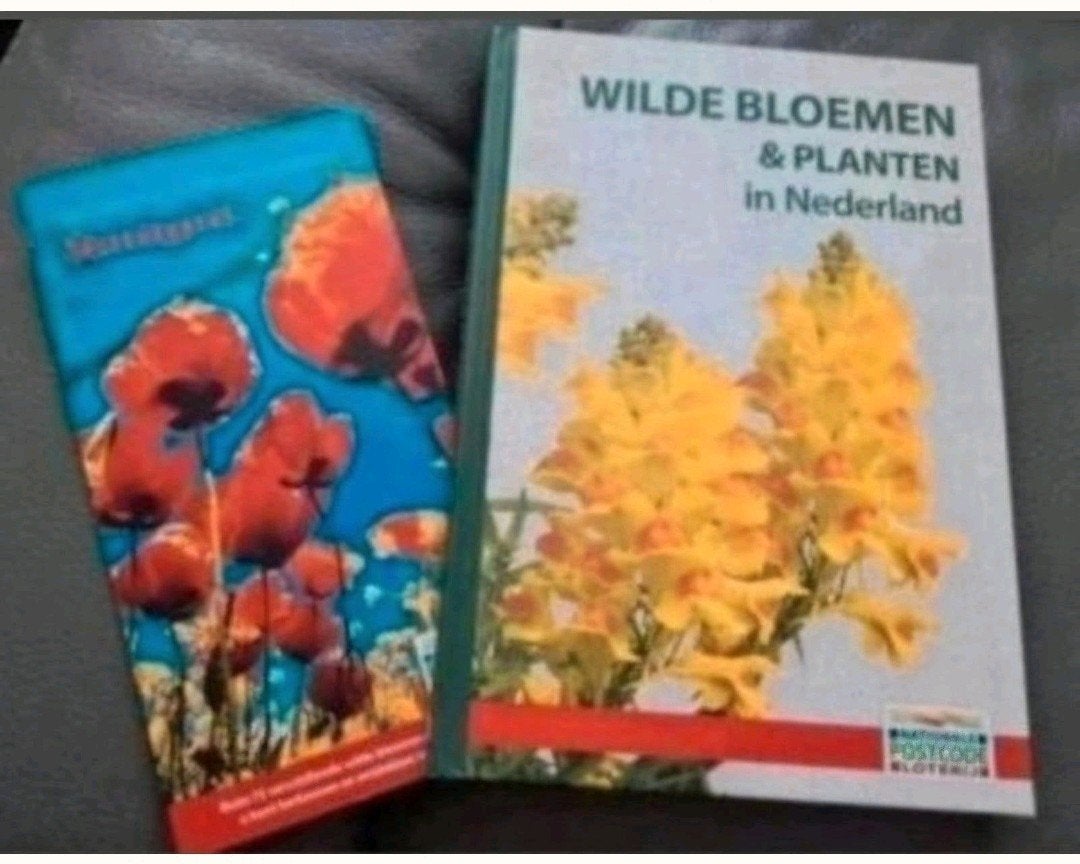 Wilde bloemen en planten nieuw, Boeken, Ophalen of Verzenden, Nieuw, Bloemen, Planten en Bomen