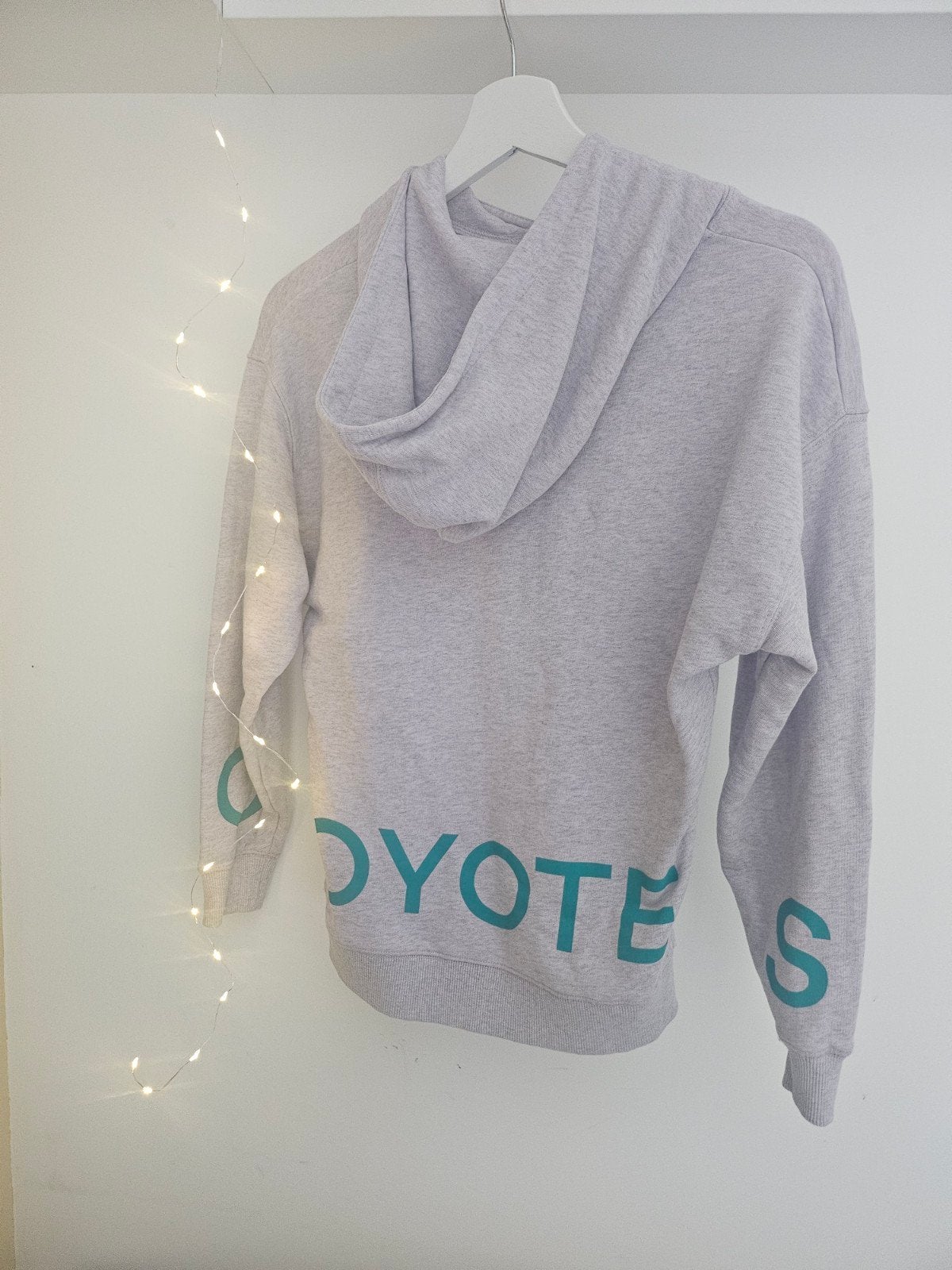 Les Coyotes de Paris hoodie paars/grijs, Ophalen, Paars, Zo goed als nieuw, Maat 34 (XS) of kleiner