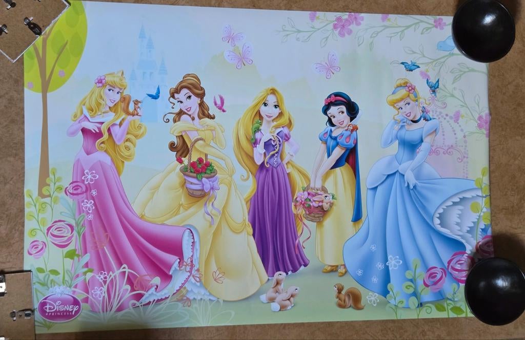 Disney Prinsessen Poster -  o.a. Sneeuwwitje, Assepoester, Ophalen of Verzenden, Zo goed als nieuw, Plaatje of Poster