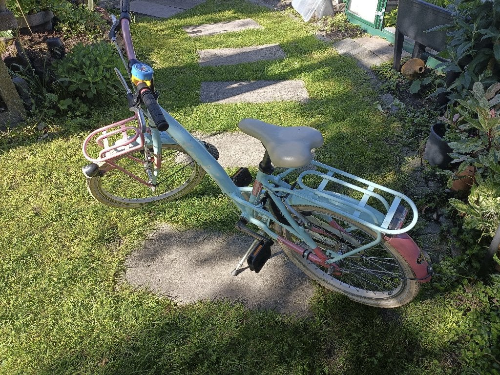 Loekie Prinses meisjesfiets 20 inch mint/roze, Ophalen, Gebruikt, Velgrem, Loeki