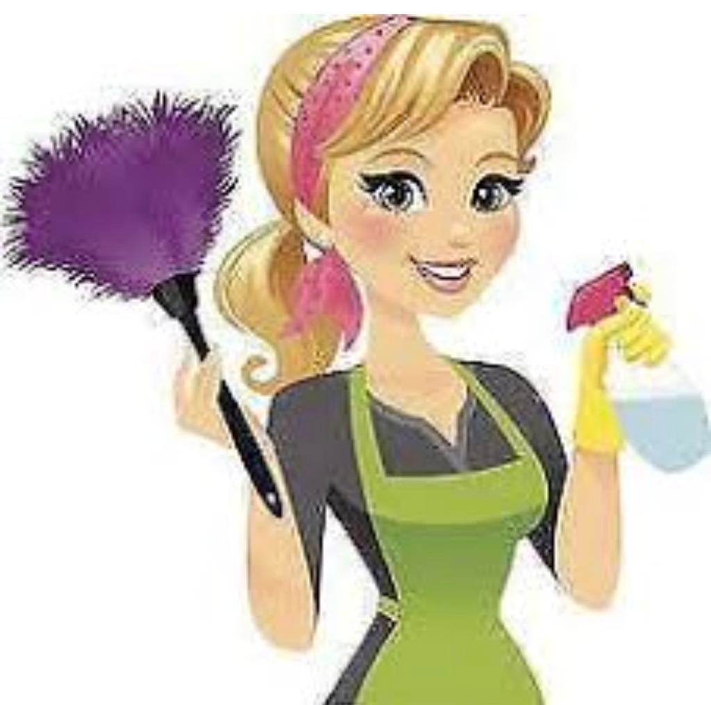 GEZOCHT Schoonmaakster in Eindhoven (zuid), Diensten en Vakmensen, Huishoudelijke hulp, Schoonmaken