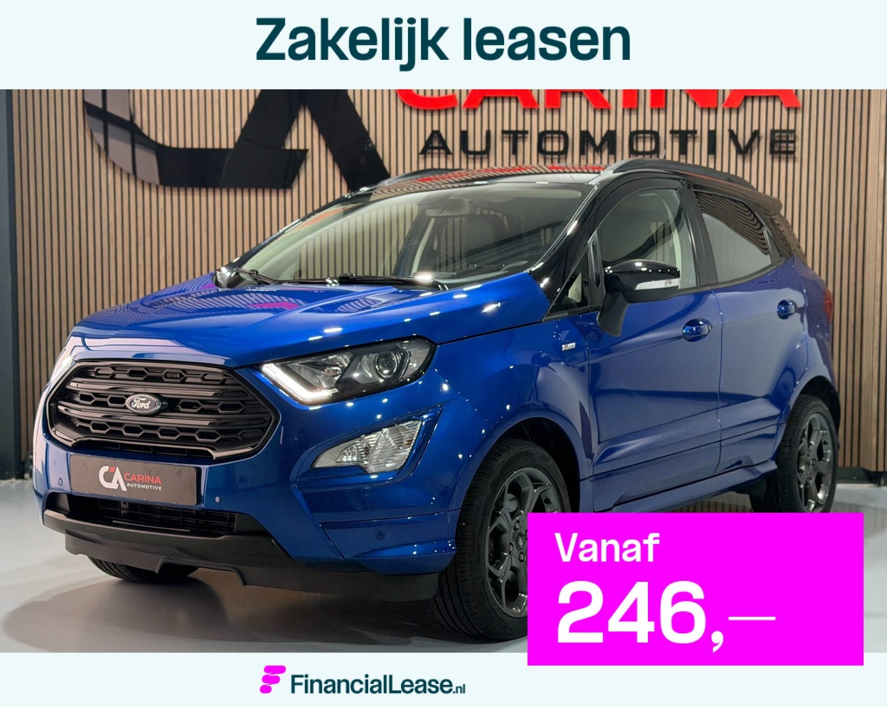 Ford EcoSport 1.0 EcoBoost ST-Line Black / Winter Pakket / C, 125 pk, Gebruikt, Zwart, Ecosport