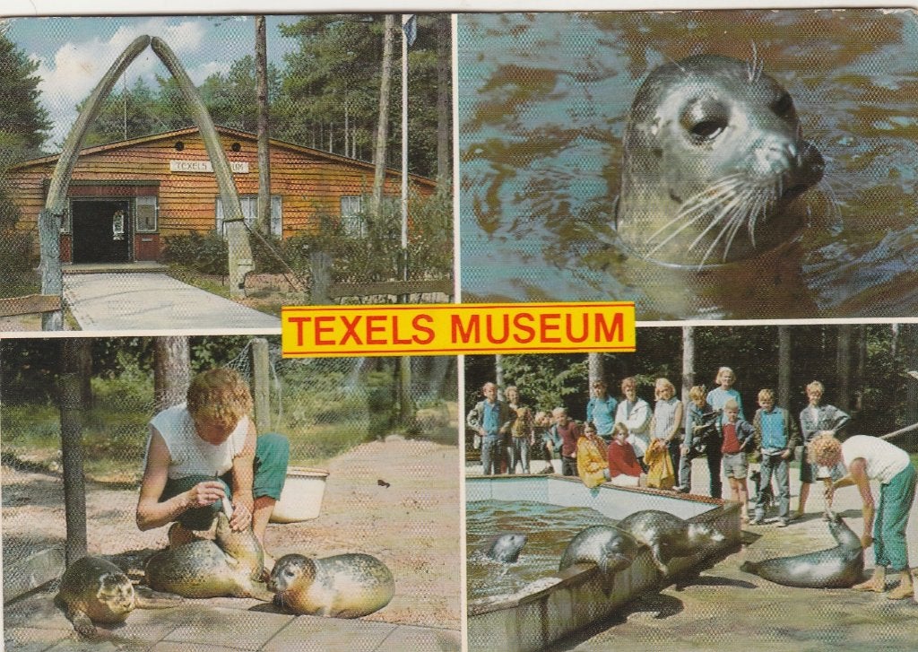 TEXEL Texels Museum Zeehonden, Verzenden, 1960 tot 1980, Gelopen, Waddeneilanden
