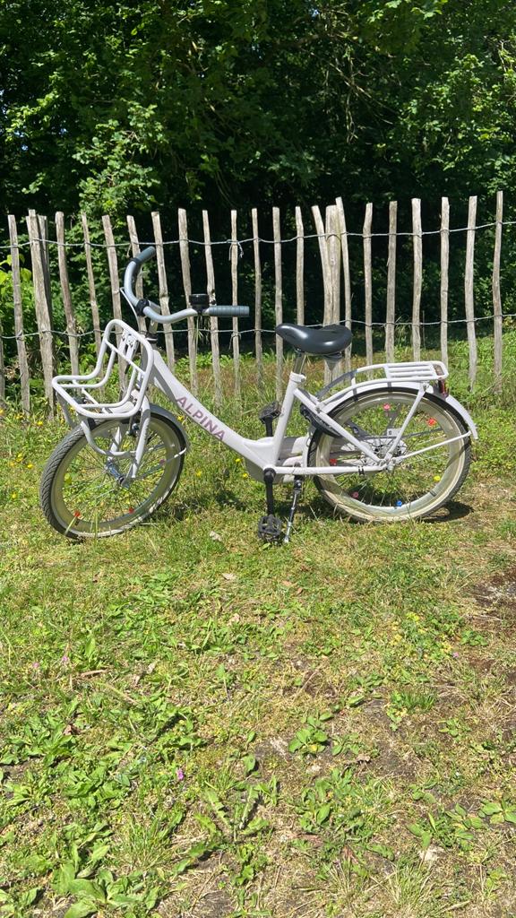 Alpina kinderfiets 20 inch, Ophalen, Zo goed als nieuw, 20 inch of meer