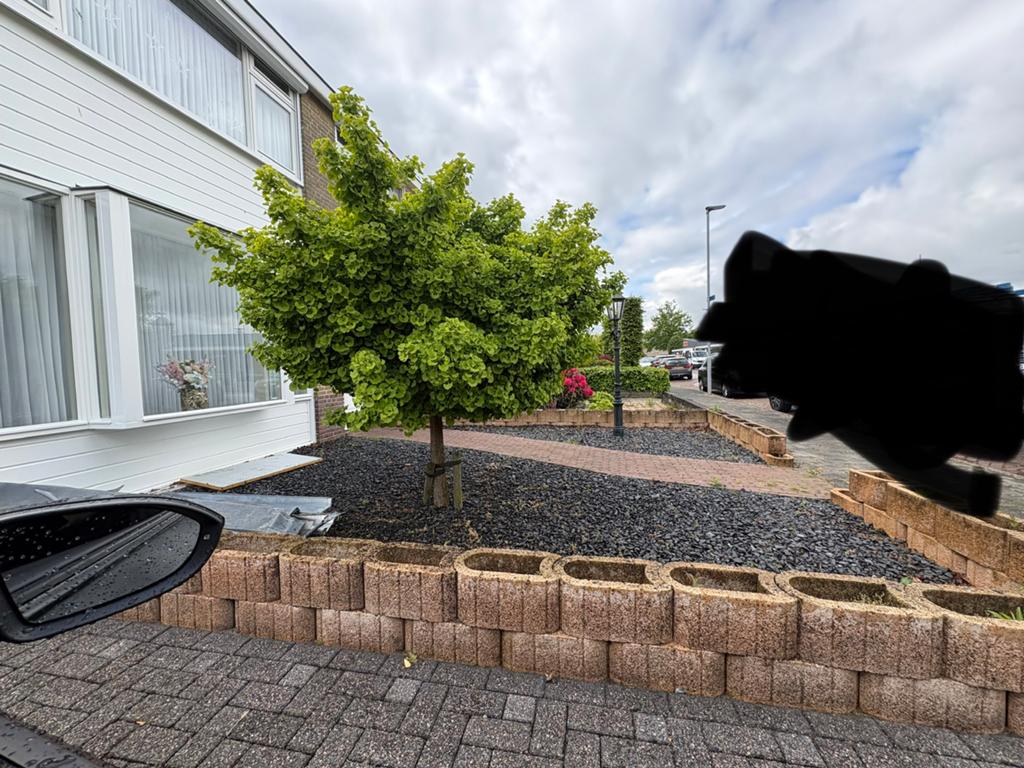 Plantenbakken, Tuin en Terras, Planten | Tuinplanten, Ophalen, Overige soorten, Volle zon