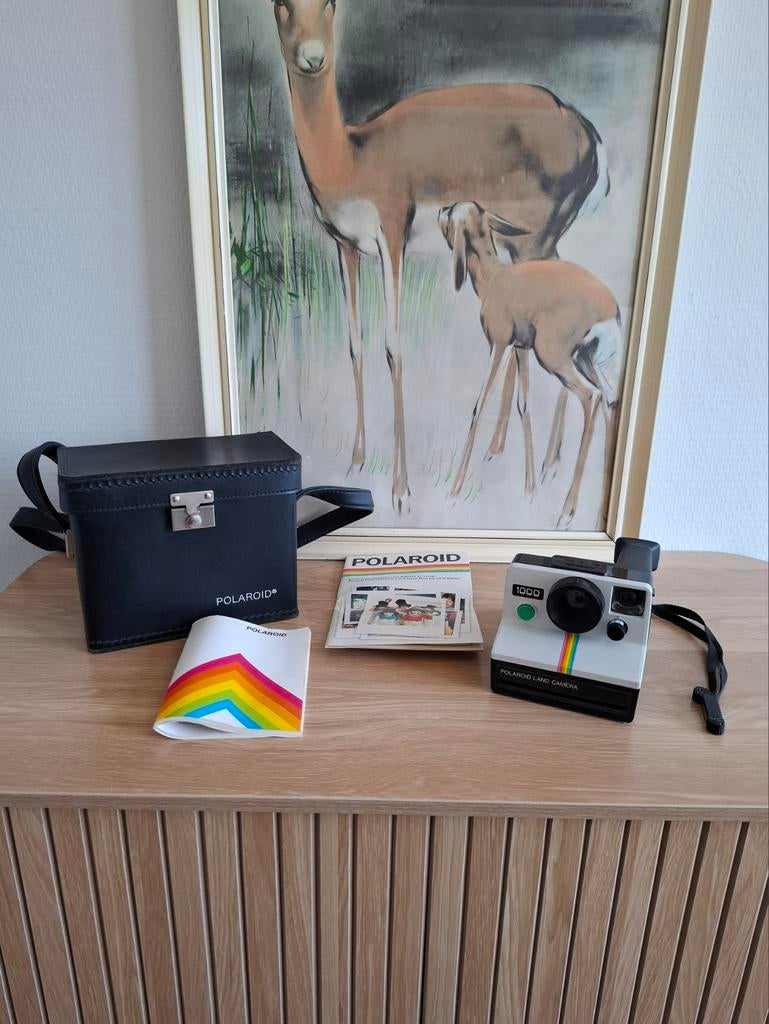 Polaroid Land Camera 100  1970s, Ophalen of Verzenden