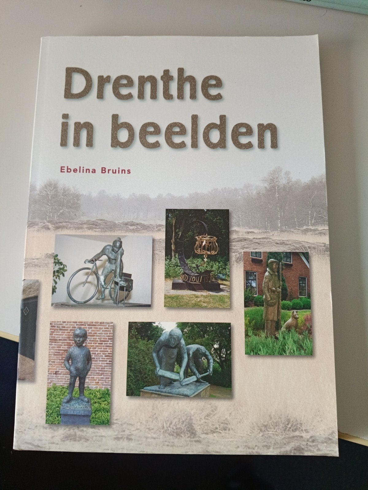 Drenthe in Beelden - Ebelina Bruins, Boeken, Geschiedenis | Stad en Regio, Ophalen of Verzenden, 20e eeuw of later, Zo goed als nieuw