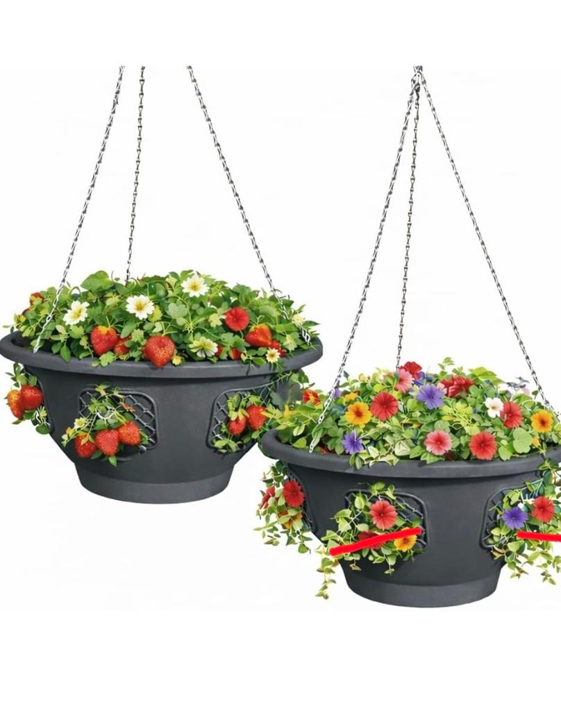 Groot hangpot (nieuwe), Ophalen of Verzenden, Overige soorten, Volle zon