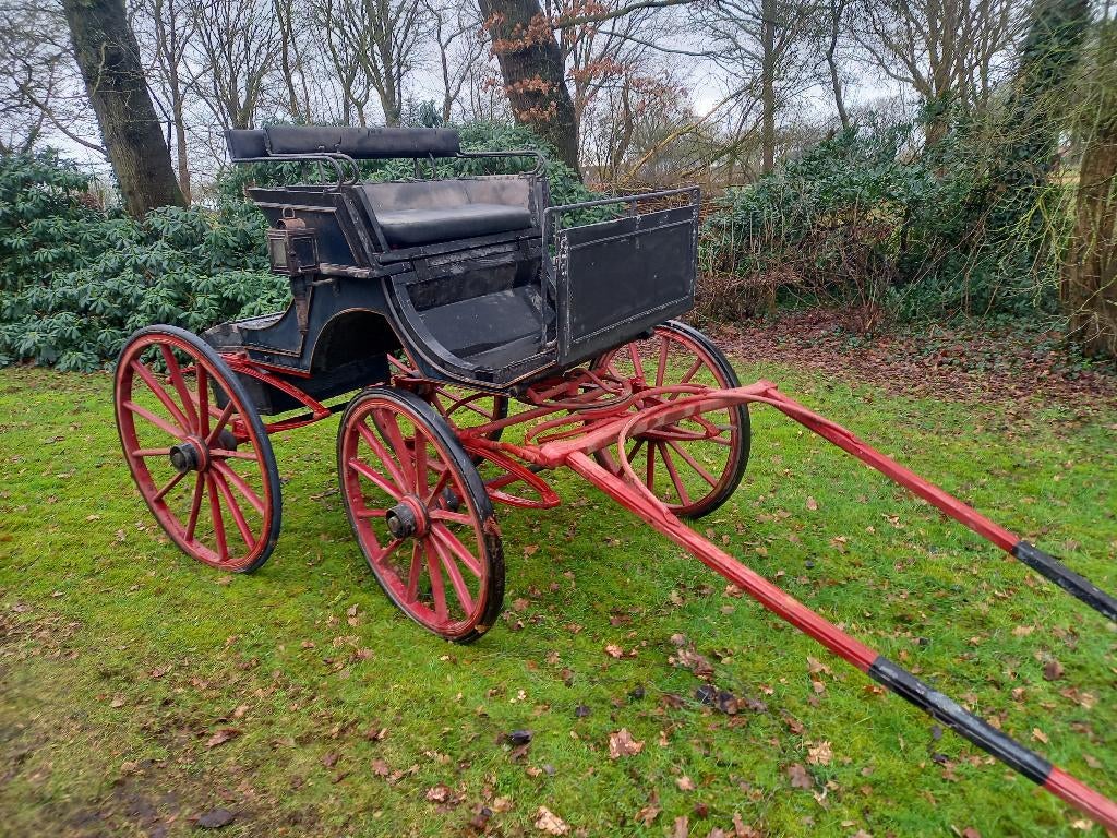 Antieke koets type Oppenheimer, Dieren en Toebehoren, Rijtuigen en Koetsen, Gebruikt, Paard
