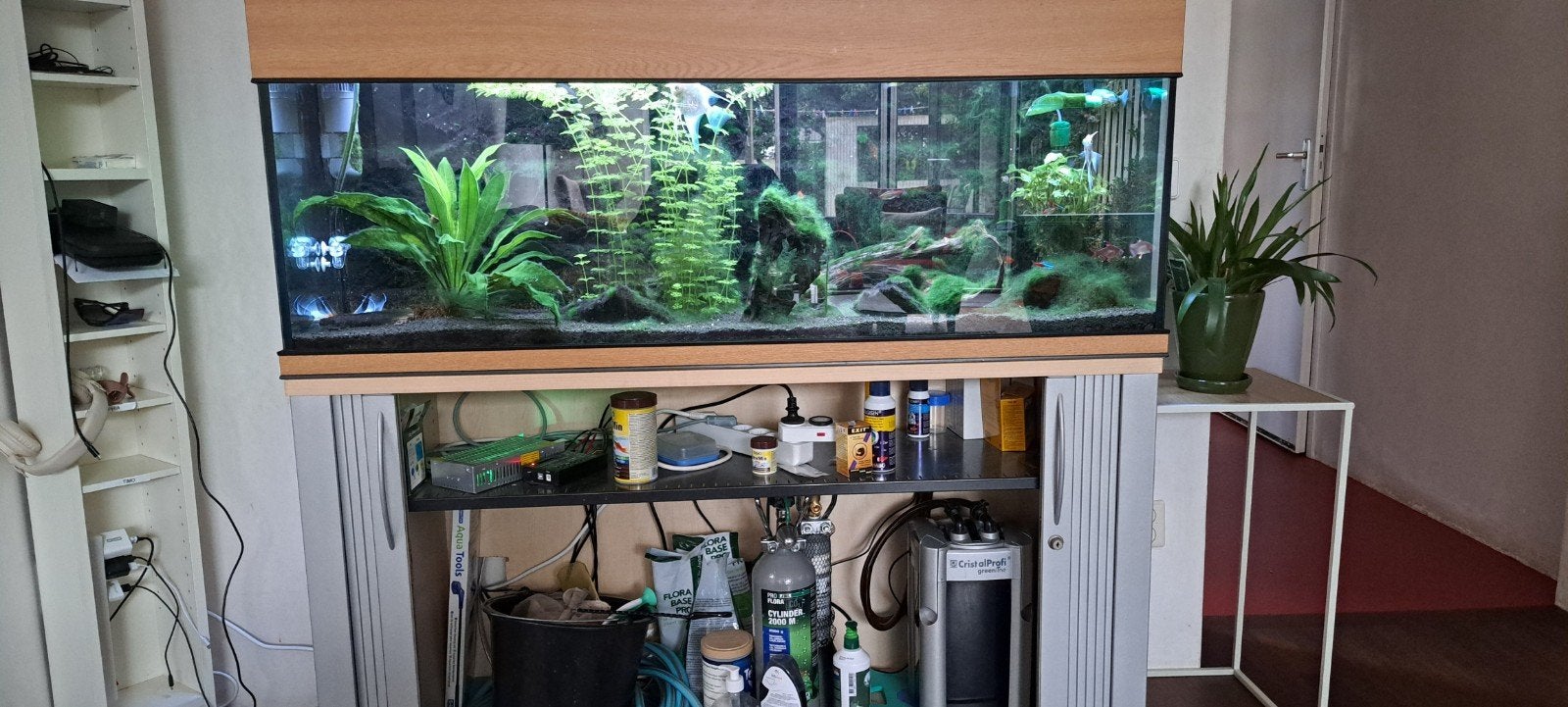200 liter aquarium inclusief alle toebehoren, Ophalen