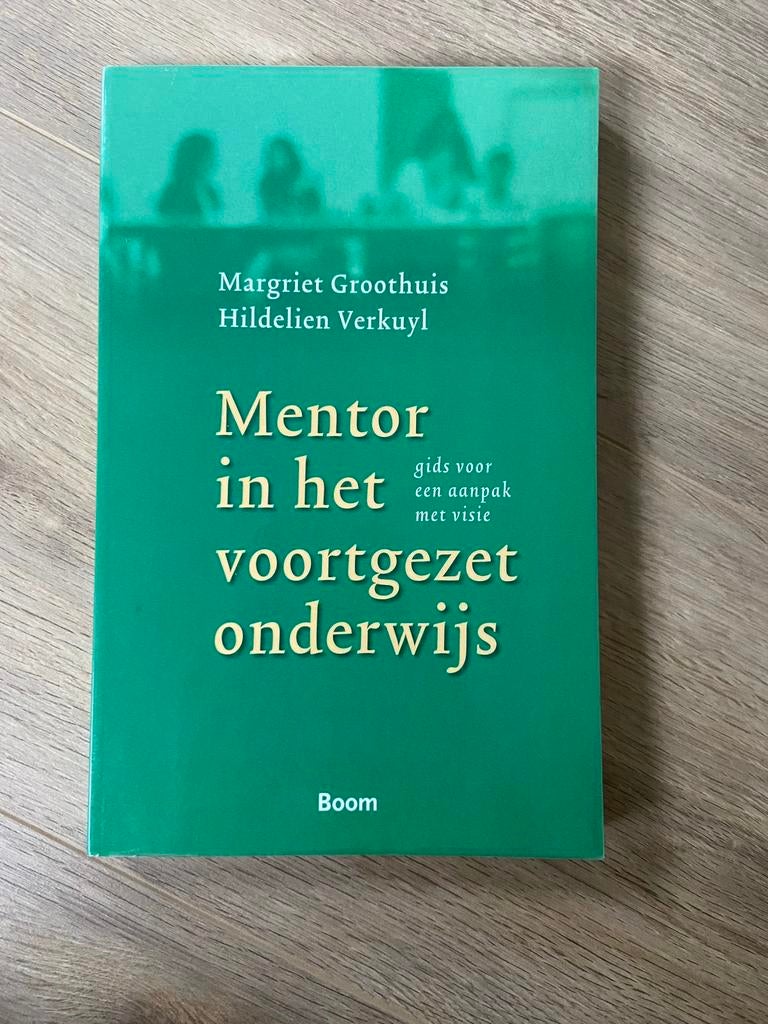 Mentor in het voortgezet onderwijs - Margriet Groothuis, Ophalen of Verzenden, Zo goed als nieuw, HBO