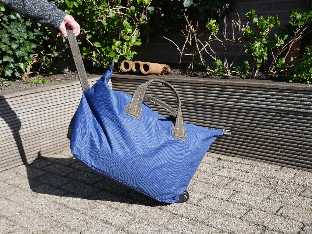 Reistas, Wieltjes, 40 tot 60 cm, 20 tot 30 cm, Blauw
