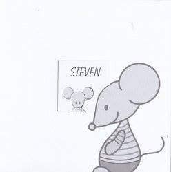 régalb c-118  Steven, Ophalen of Verzenden, 2000 tot heden, Geboortekaartje