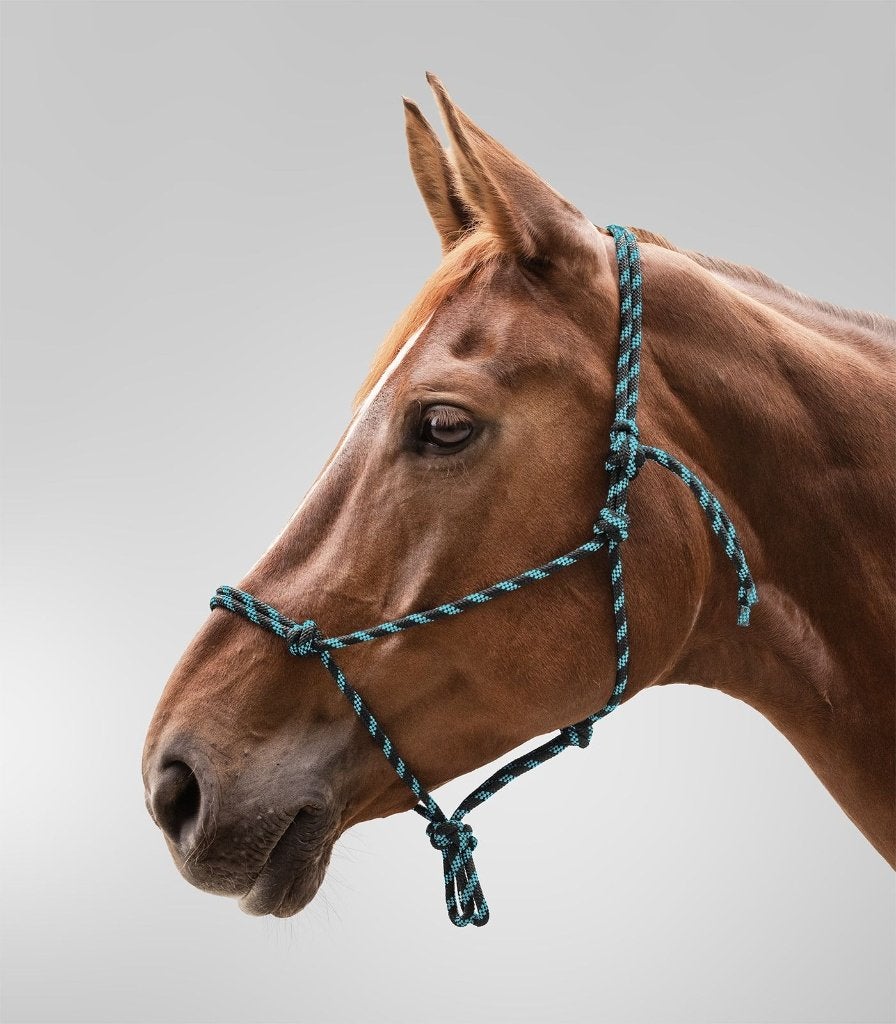 Touwhalster zwart/Mint maat Pony of Cob, Dieren en Toebehoren, Paarden en Pony's | Overige Paardenspullen, Dressuur, ., Nieuw