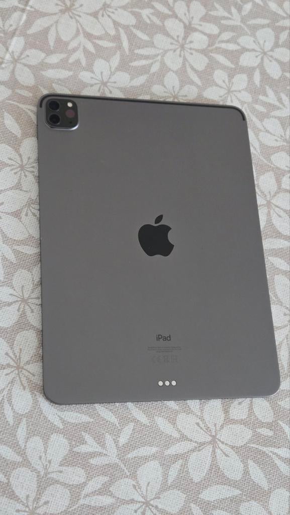 iPad Pro 11 inch (2e generatie) - iCloud, Computers en Software, Apple iPads, Zo goed als nieuw, Apple iPad Pro, 11 inch, 128 GB