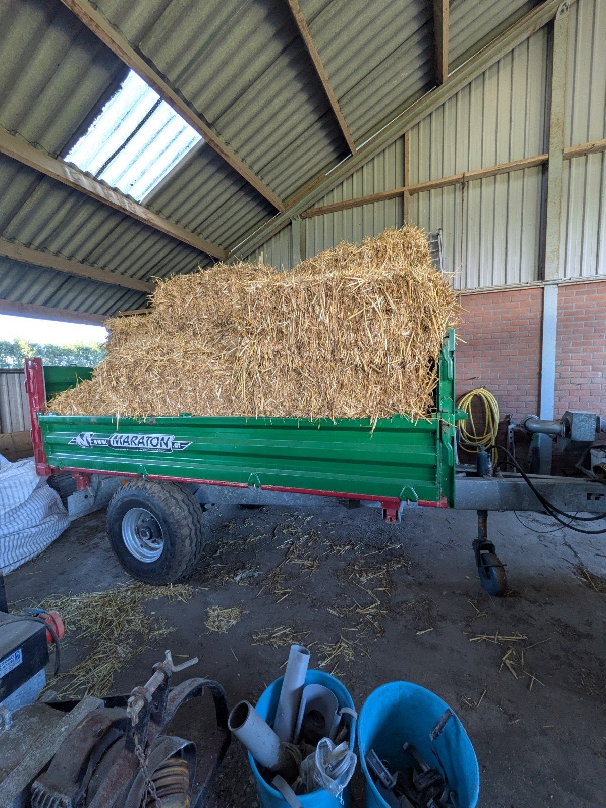 te koop strobaaltjes, Dieren en Toebehoren, Ophalen
