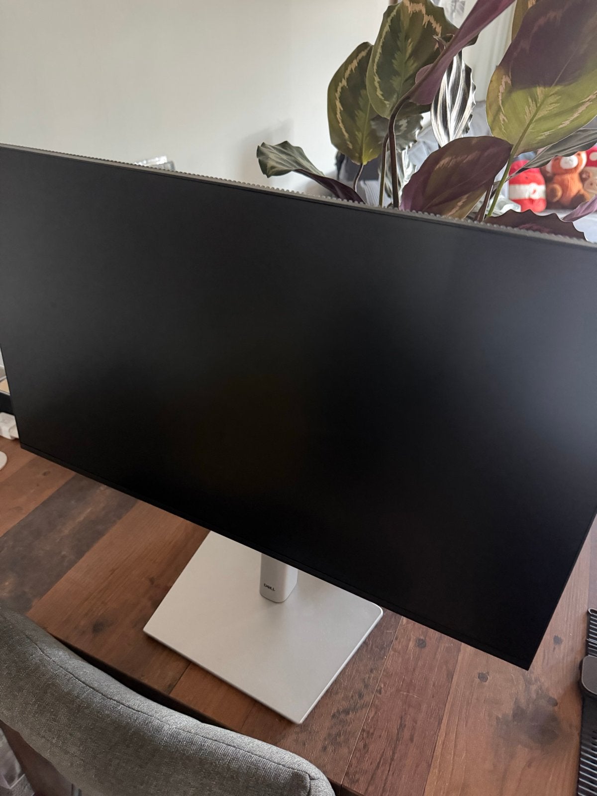 Dell P2425HE Monitor, Computers en Software, Monitoren, Ophalen, IPS, In hoogte verstelbaar, Nieuw