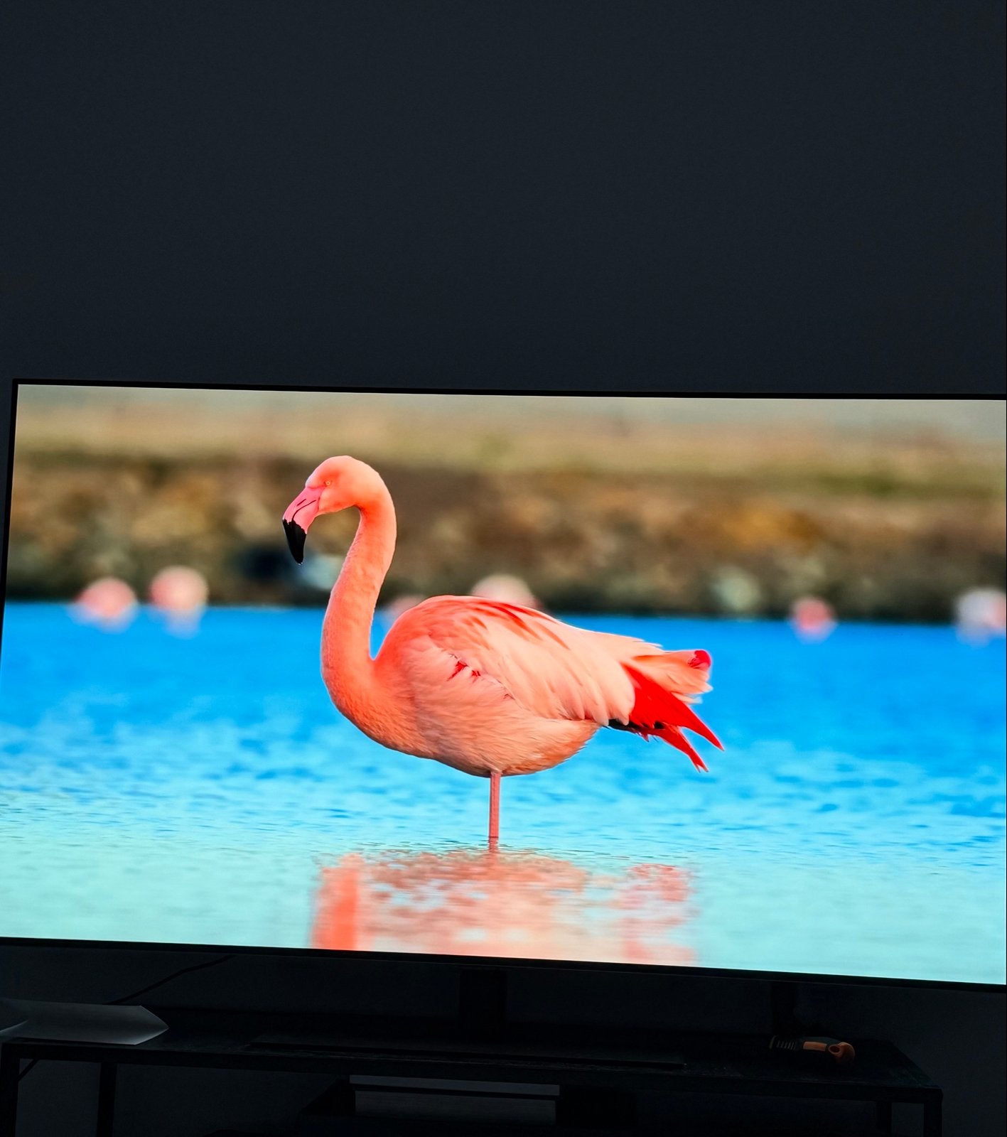Foto 7 van LG OLED55G45LW OLED TV 2024