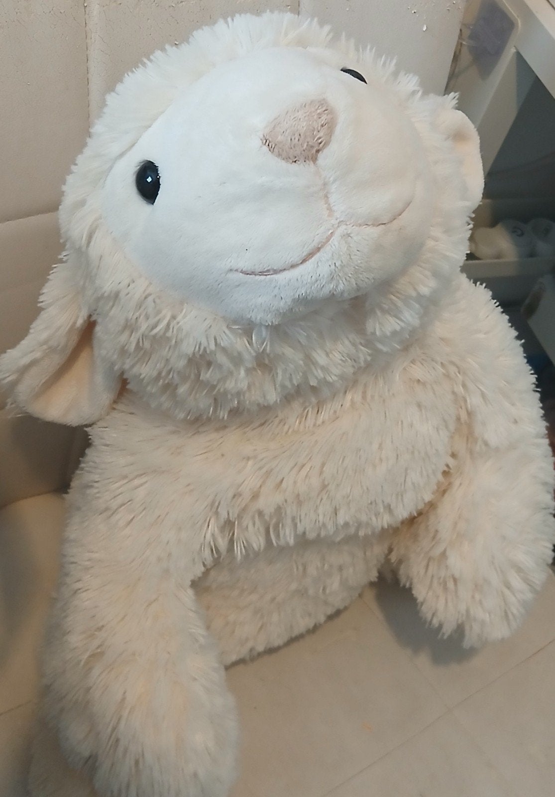 Ijsbeer knuffel groot (ongeveer 70 cm), Ophalen of Verzenden, Zo goed als nieuw, Overige typen