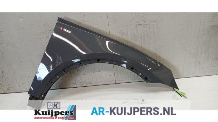 Scherm rechts-voor van een Audi Q5 (LY7C), Gebruikt, -, -, Audi