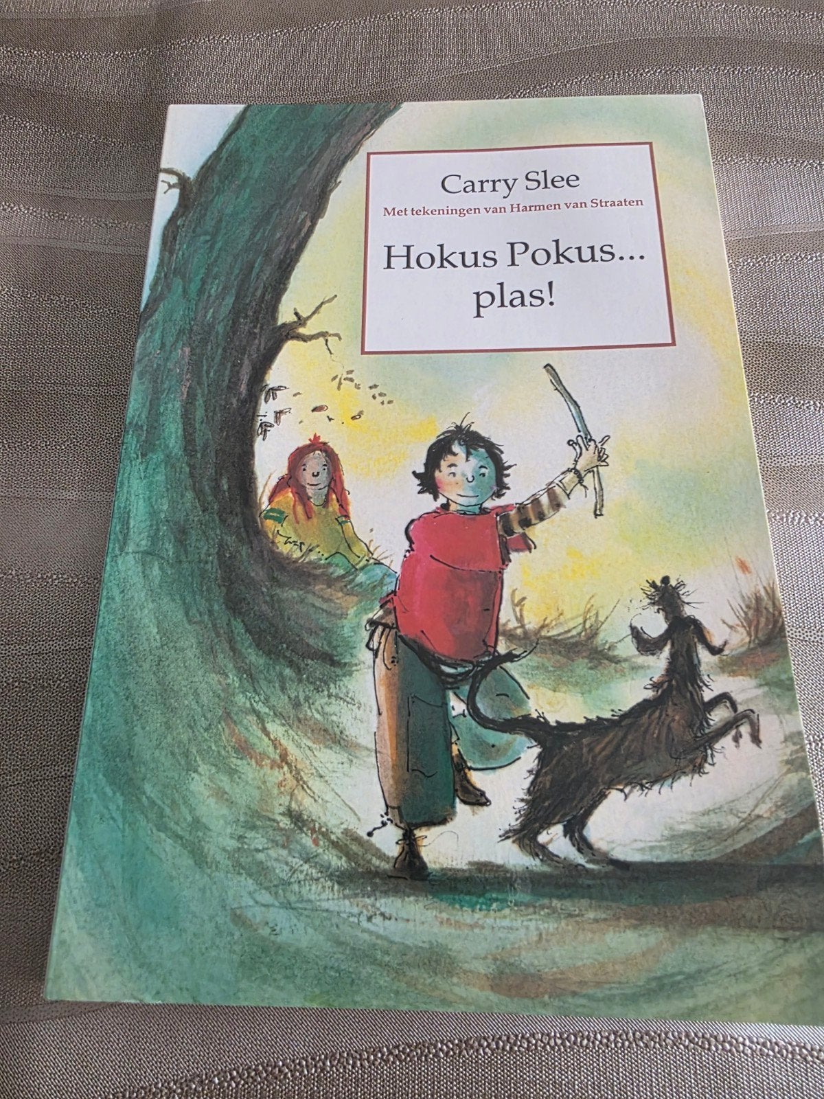 Carry Slee,  Hokus pokus plas!, Ophalen of Verzenden, Carry Slee, Fictie algemeen