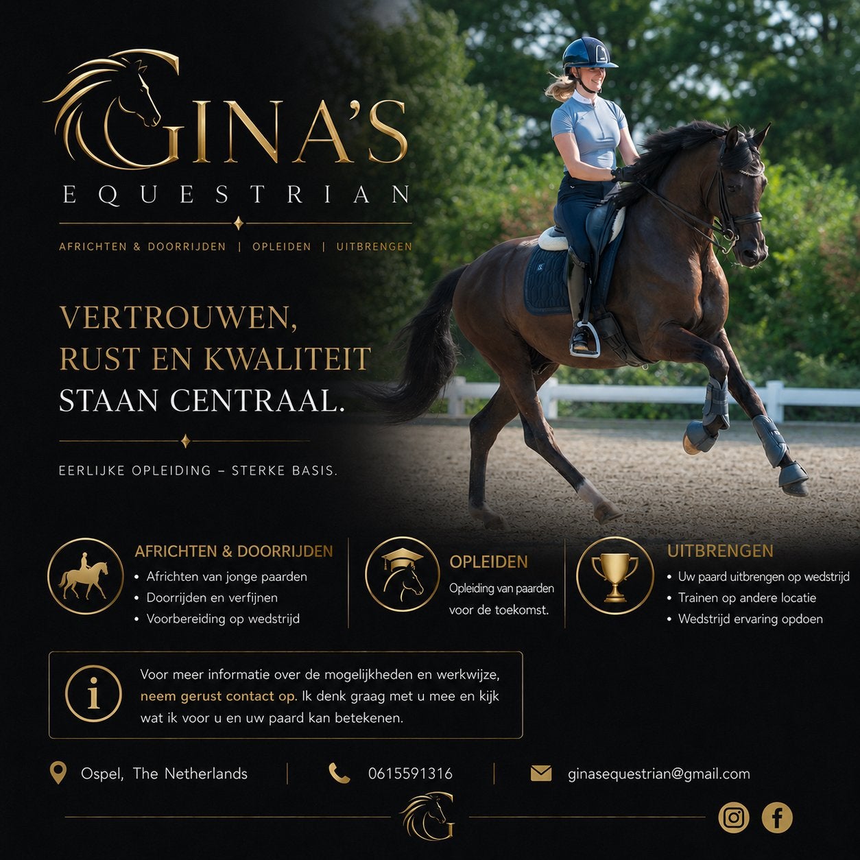 Professionele training voor uw paard, Gedragstraining