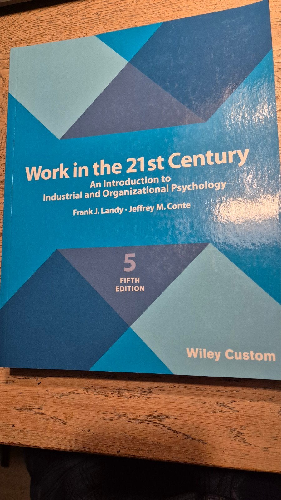 Work in the 21st Century: Industriële Psychologie, Frank J. Landy, Jeffrey M. Conte, Zo goed als nieuw, Gamma, HBO