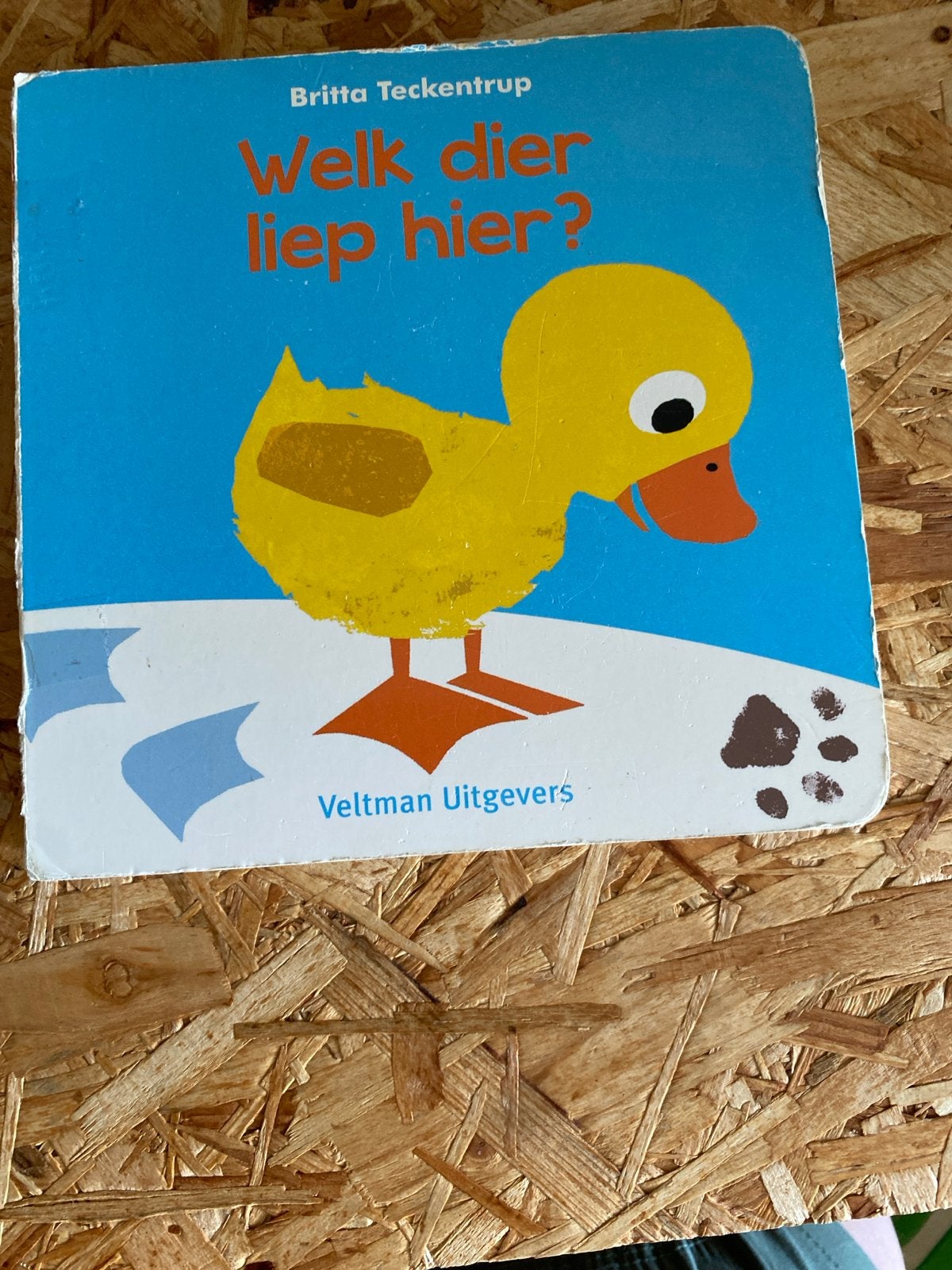 Welk dier liep hier? Britta Teckentrup (Prentenboek), Ophalen, Zo goed als nieuw, 2 tot 3 jaar