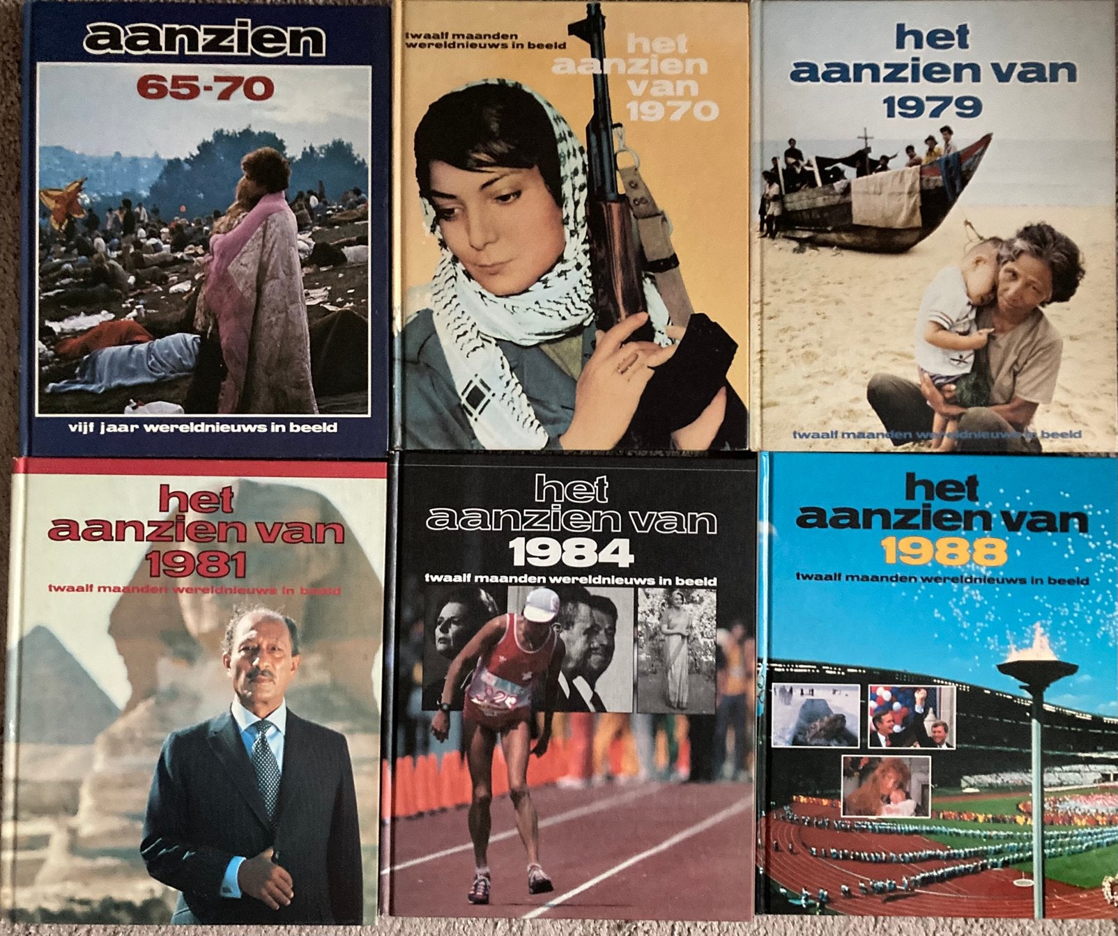 Het aanzien van, Boeken, Geschiedenis | Wereld, Ophalen of Verzenden, Gelezen