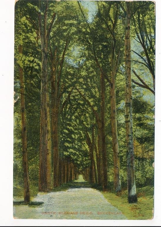 Alkmaar - Heilo - Beukenlaan [KRST003-6210, Verzamelen, Verzenden, Voor 1920, Gelopen, Noord-Holland