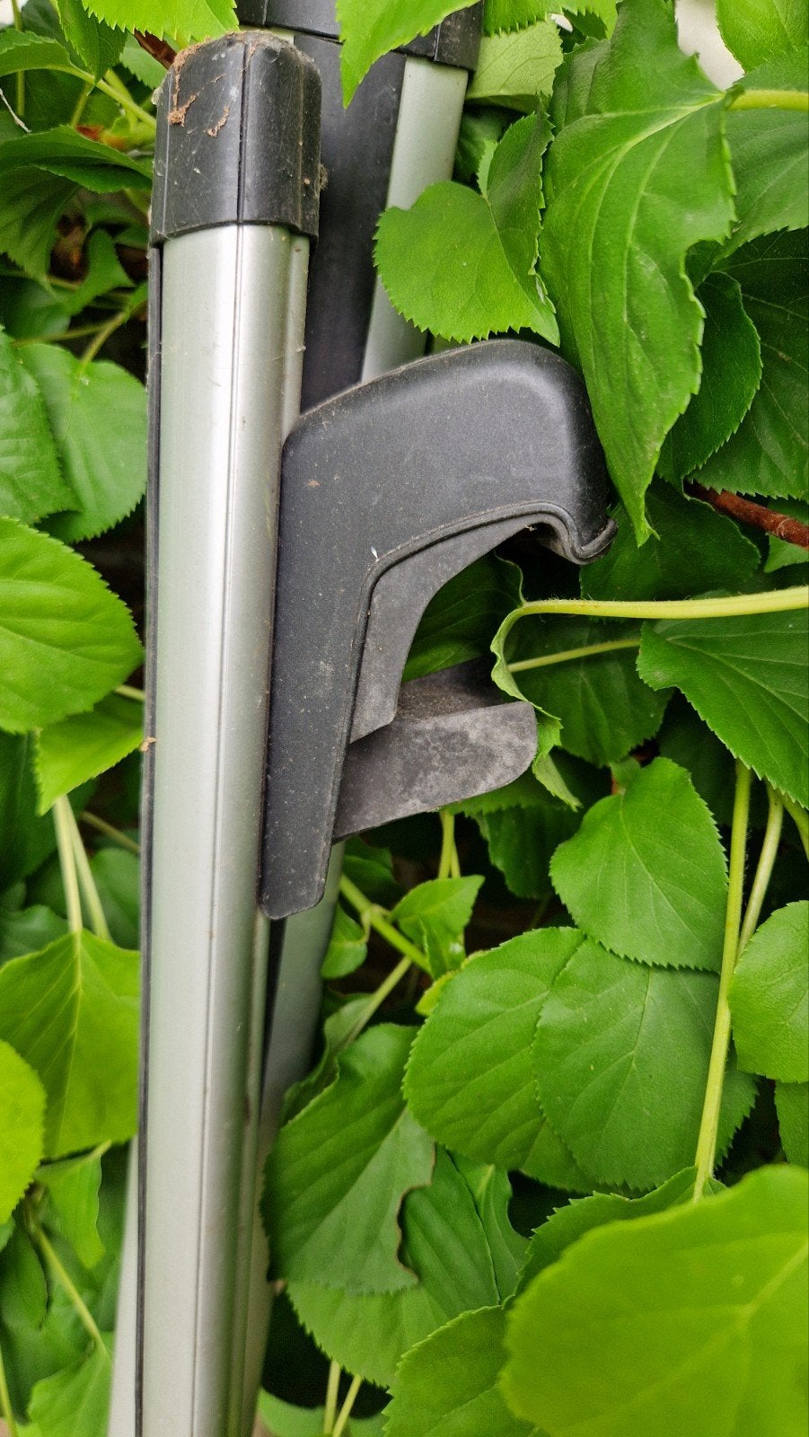 Dakdragers voor Ford Focus, Auto diversen, Dakdragers, Ophalen, Gebruikt